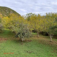 image_6483441 - 2021-10-26T133133.675