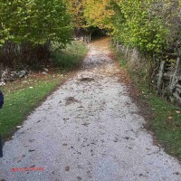 image_6483441 - 2021-10-26T133149.844