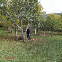 image_6483441 - 2021-10-26T133244.046